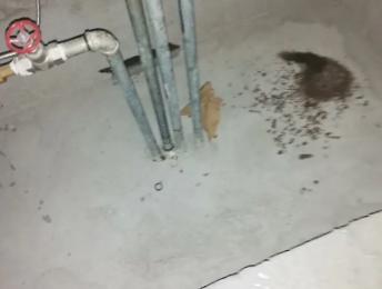 敦煌卫生间测漏水价格明细