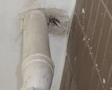 敦煌漏水检测哪家好